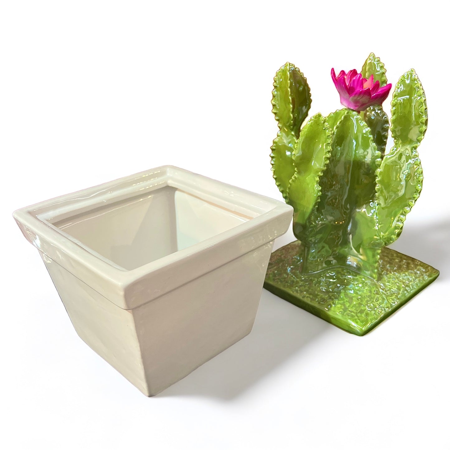 Barattolo “CACTUS"