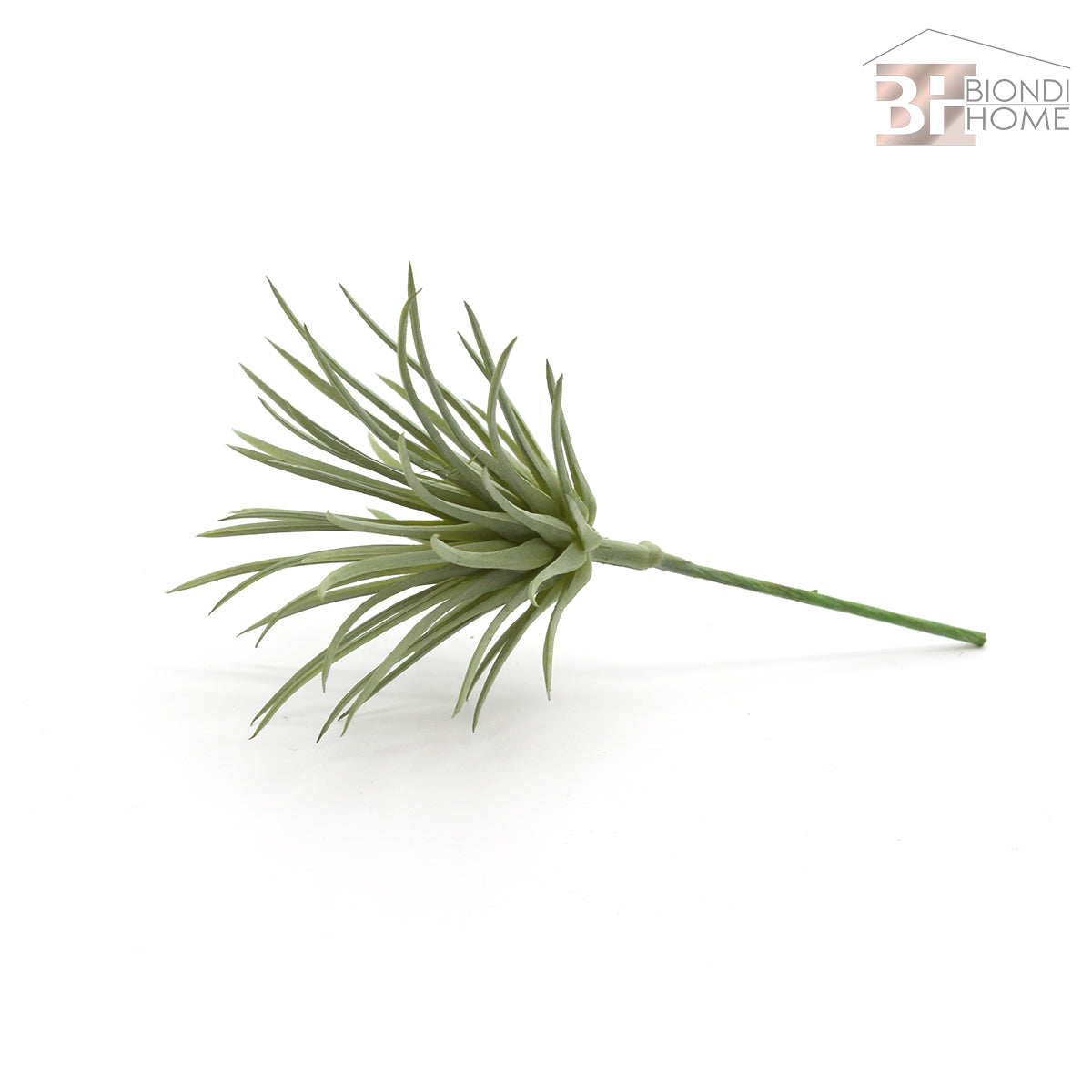 Ciuffo “TILLANDSIA” - BIONDI HOME