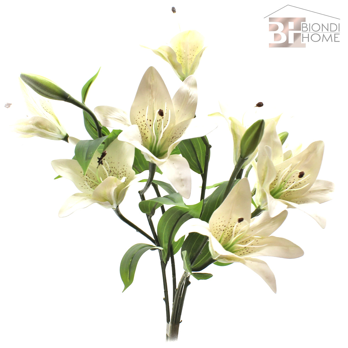 Ramo “LILIUM” - BIONDI HOME