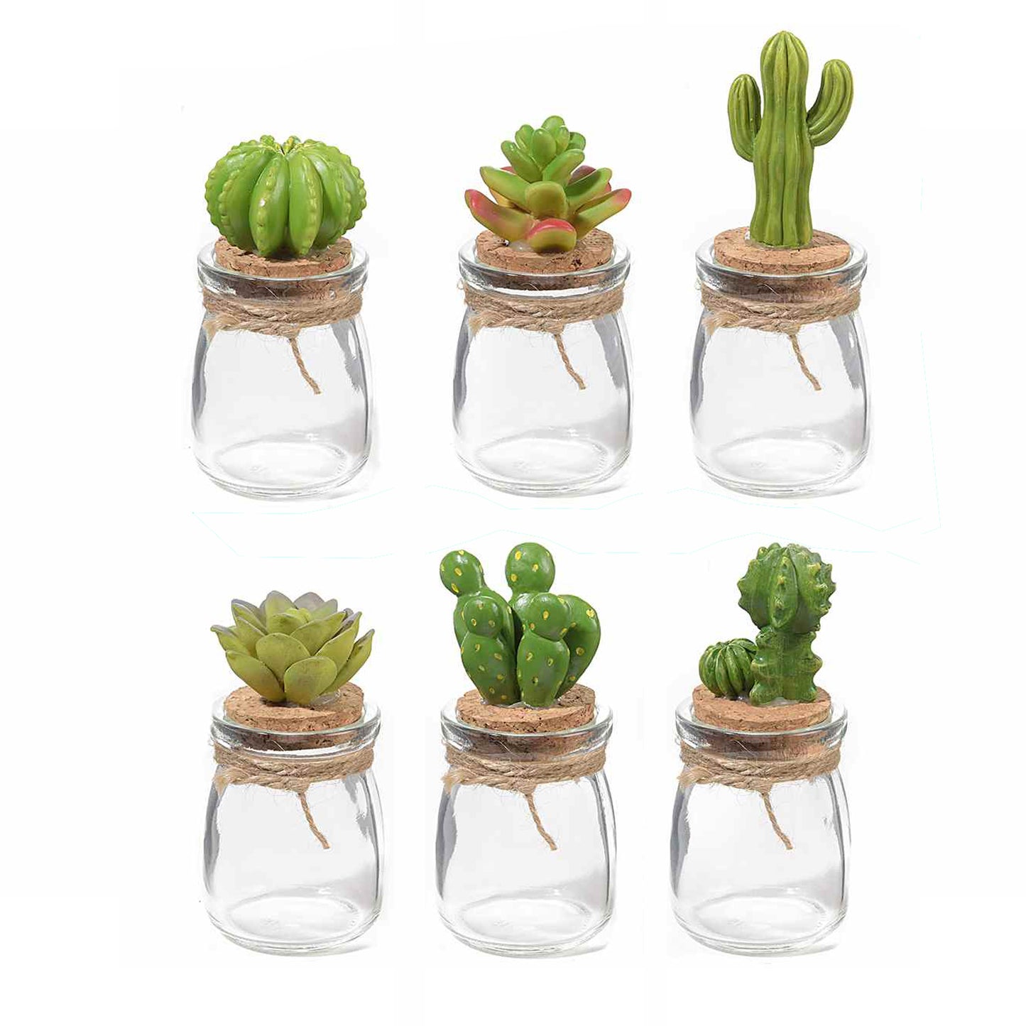 Portaspezie “CACTUS” (6pz) - BIONDI HOME