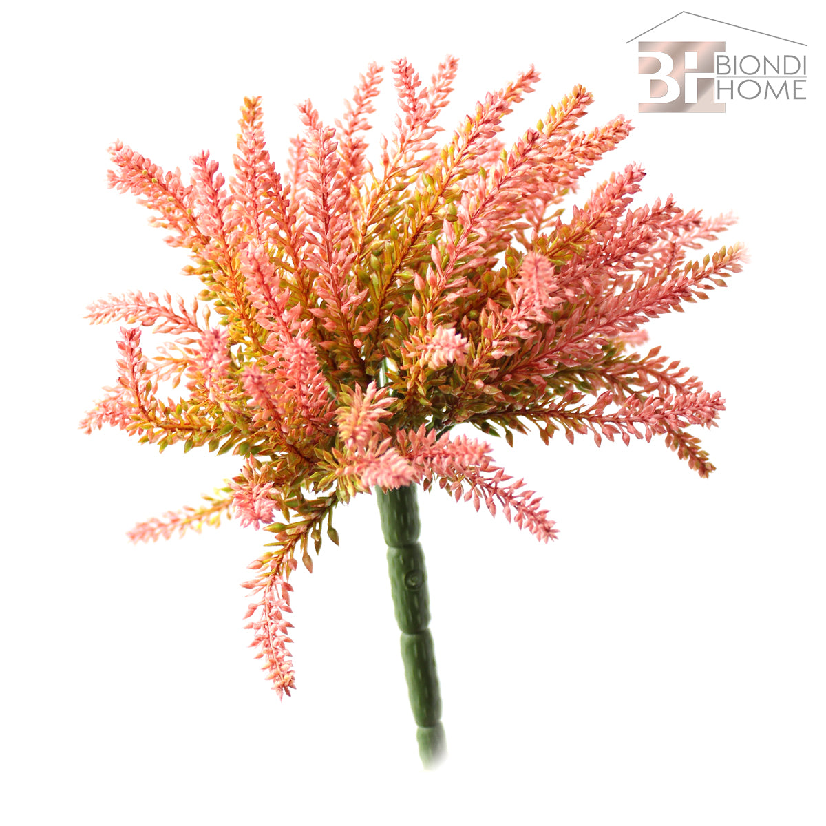 Pianta “ERICA” - BIONDI HOME