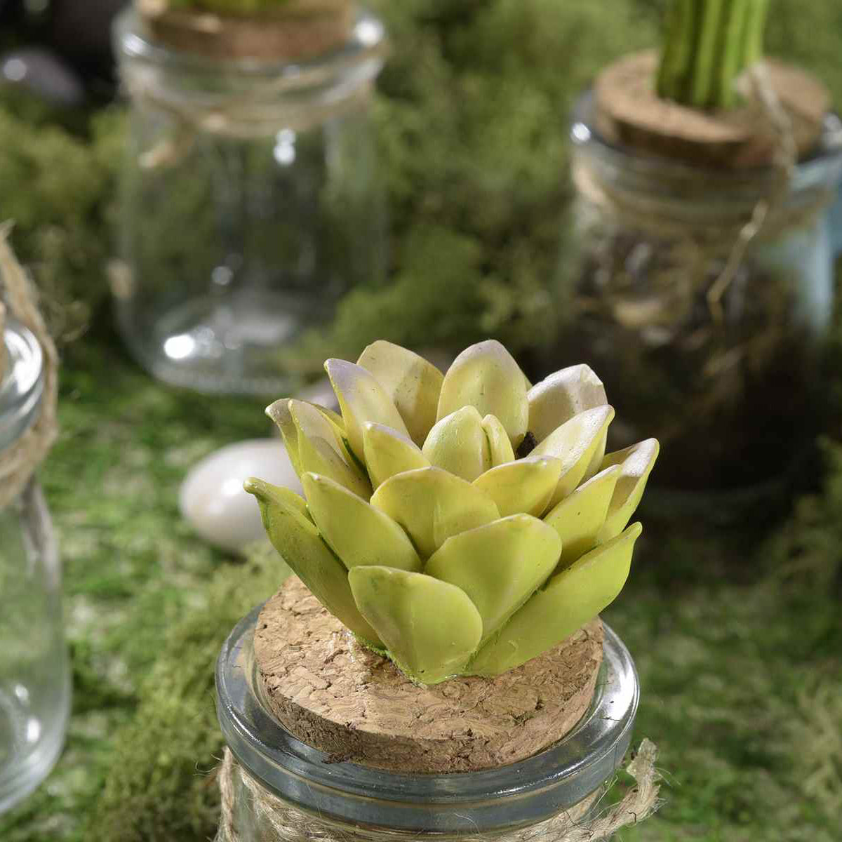 Portaspezie “CACTUS” (6pz) - BIONDI HOME