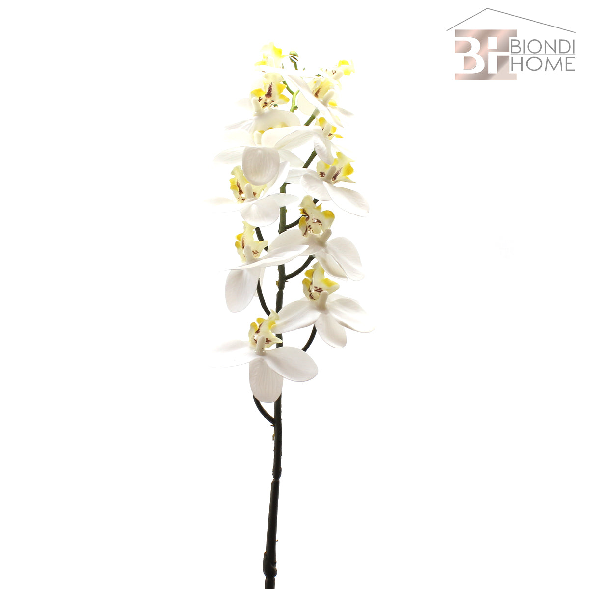 Ramo “ORCHIDEA” - BIONDI HOME