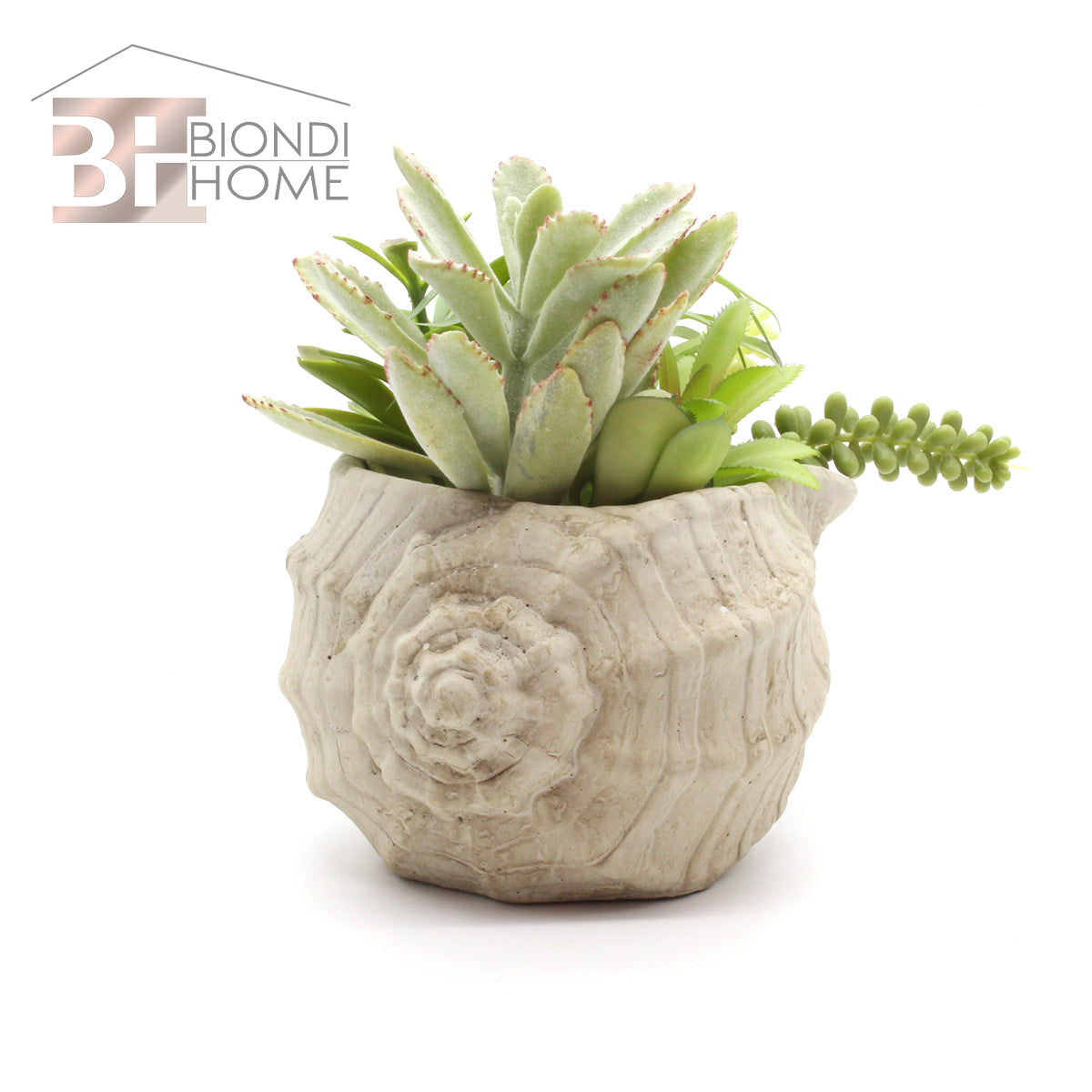 Vaso “CONCHIGLIA” - BIONDI HOME