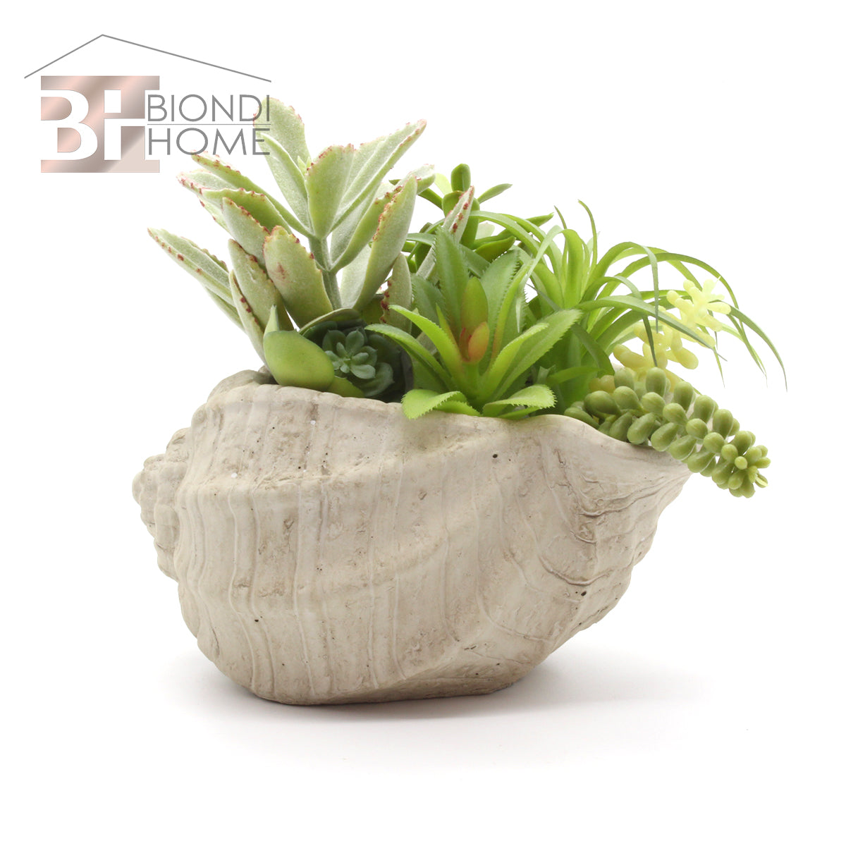 Vaso “CONCHIGLIA” - BIONDI HOME