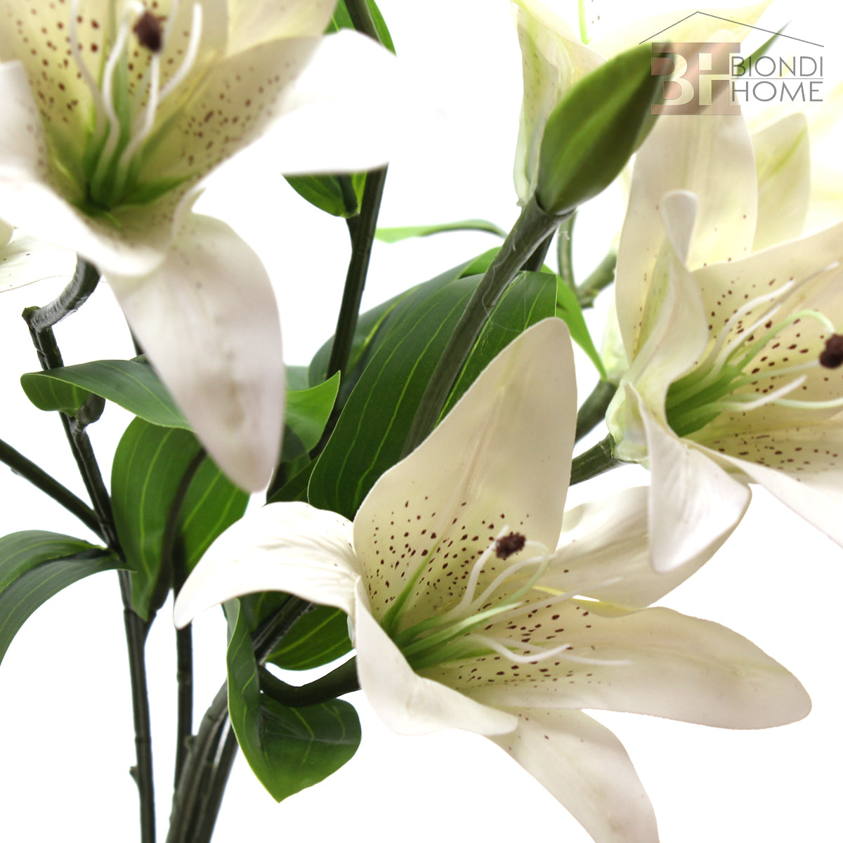 Ramo “LILIUM” - BIONDI HOME