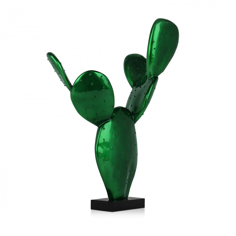 “FICUS” - BIONDI HOME