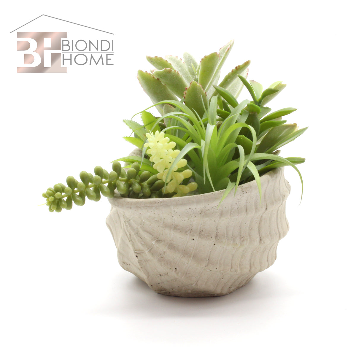 Vaso “CONCHIGLIA” - BIONDI HOME