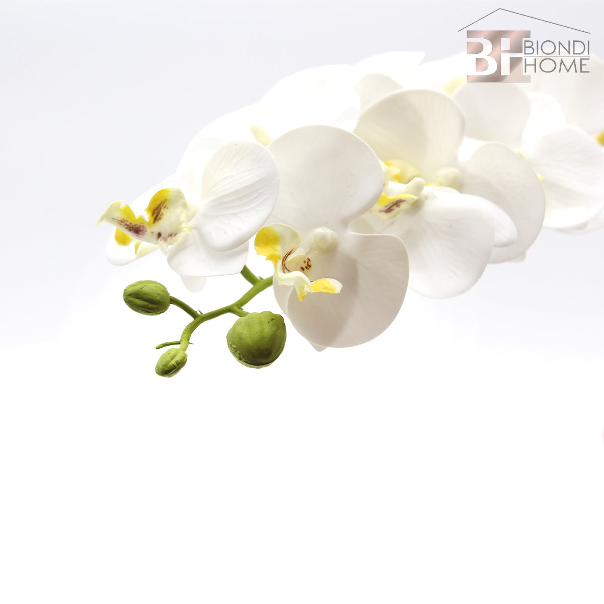 Ramo “ORCHIDEA” - BIONDI HOME