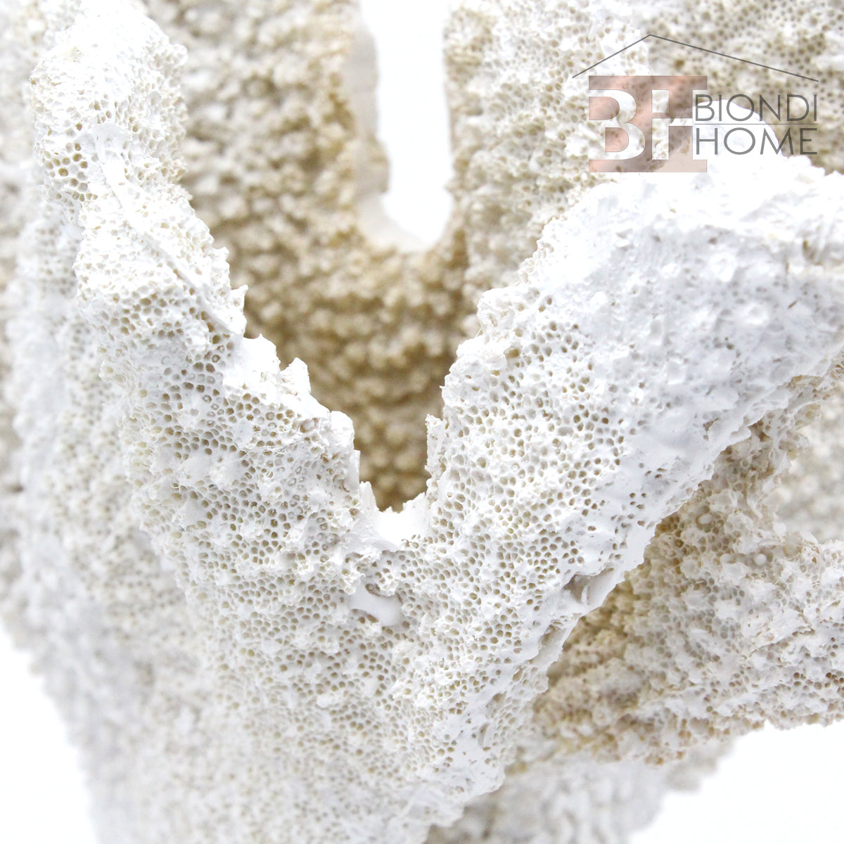 “CORAL” - BIONDI HOME
