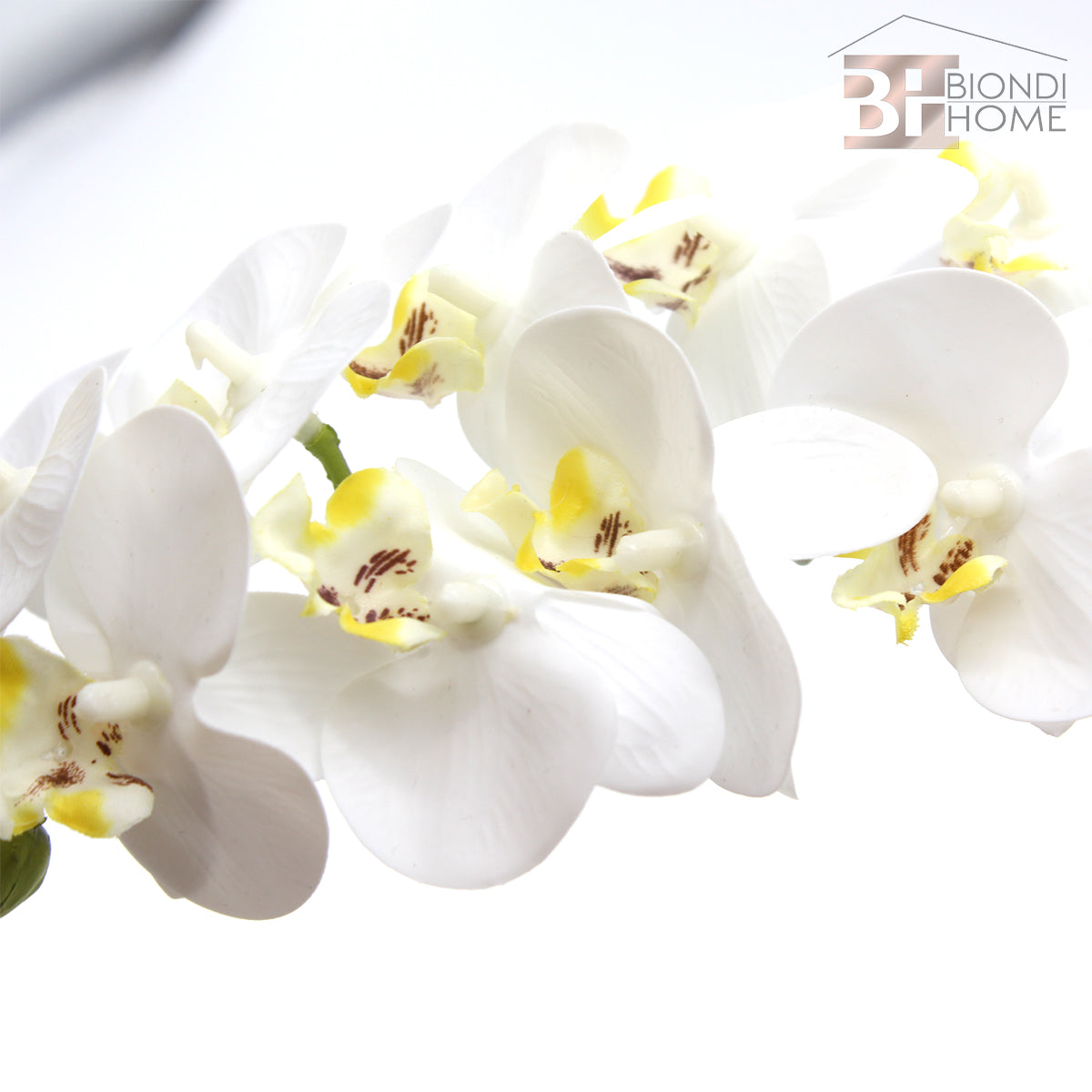 Ramo “ORCHIDEA” - BIONDI HOME