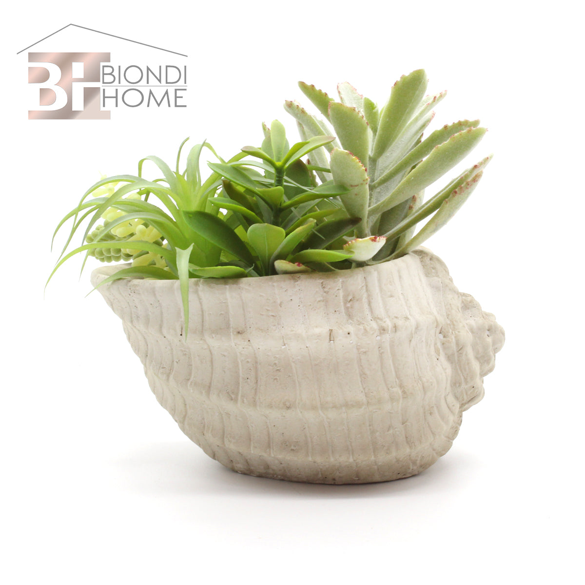 Vaso “CONCHIGLIA” - BIONDI HOME
