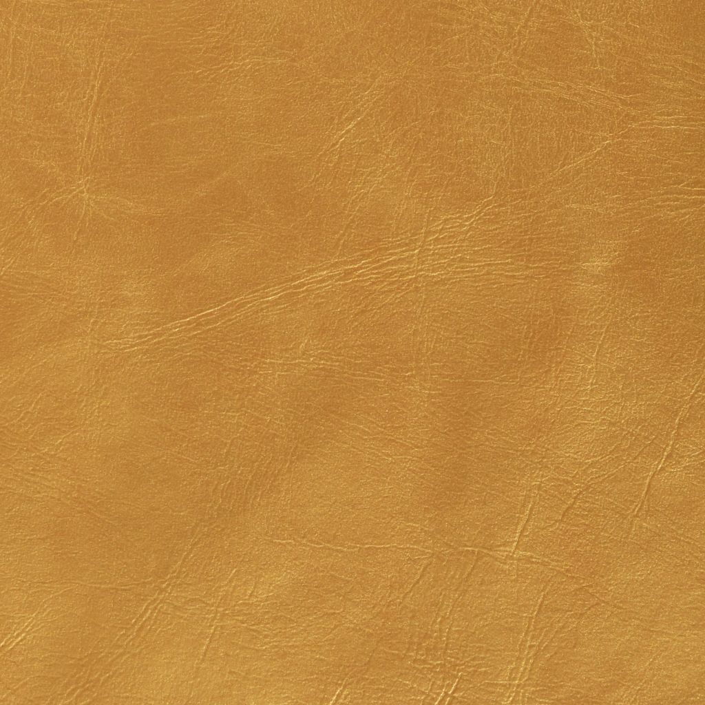 Cuscino "GOLD" (2pz) - BIONDI HOME