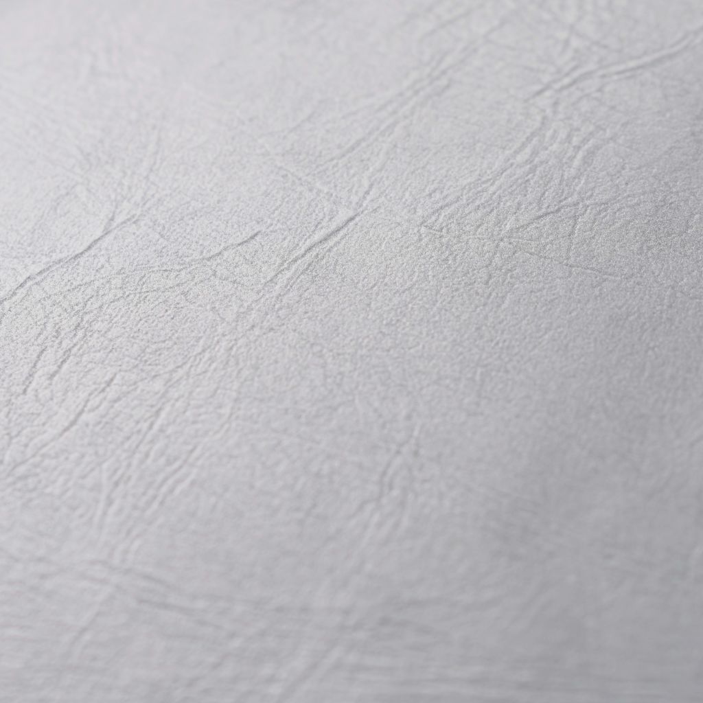 Cuscino “SILVER” (2pz) - BIONDI HOME