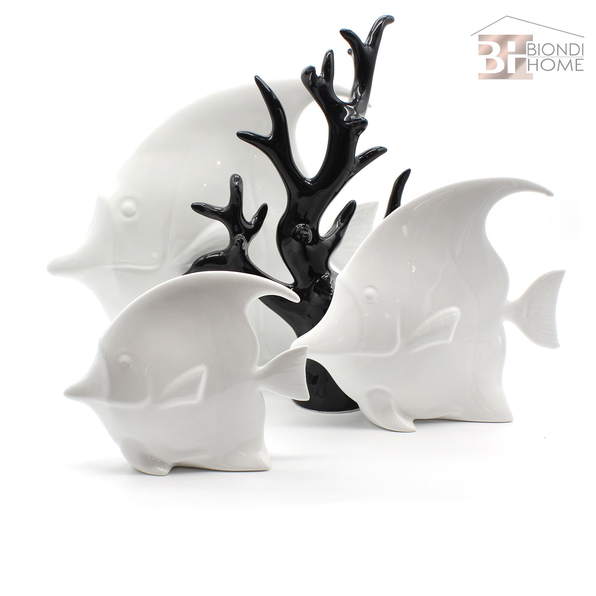“PESCE DISCUS” - BIONDI HOME
