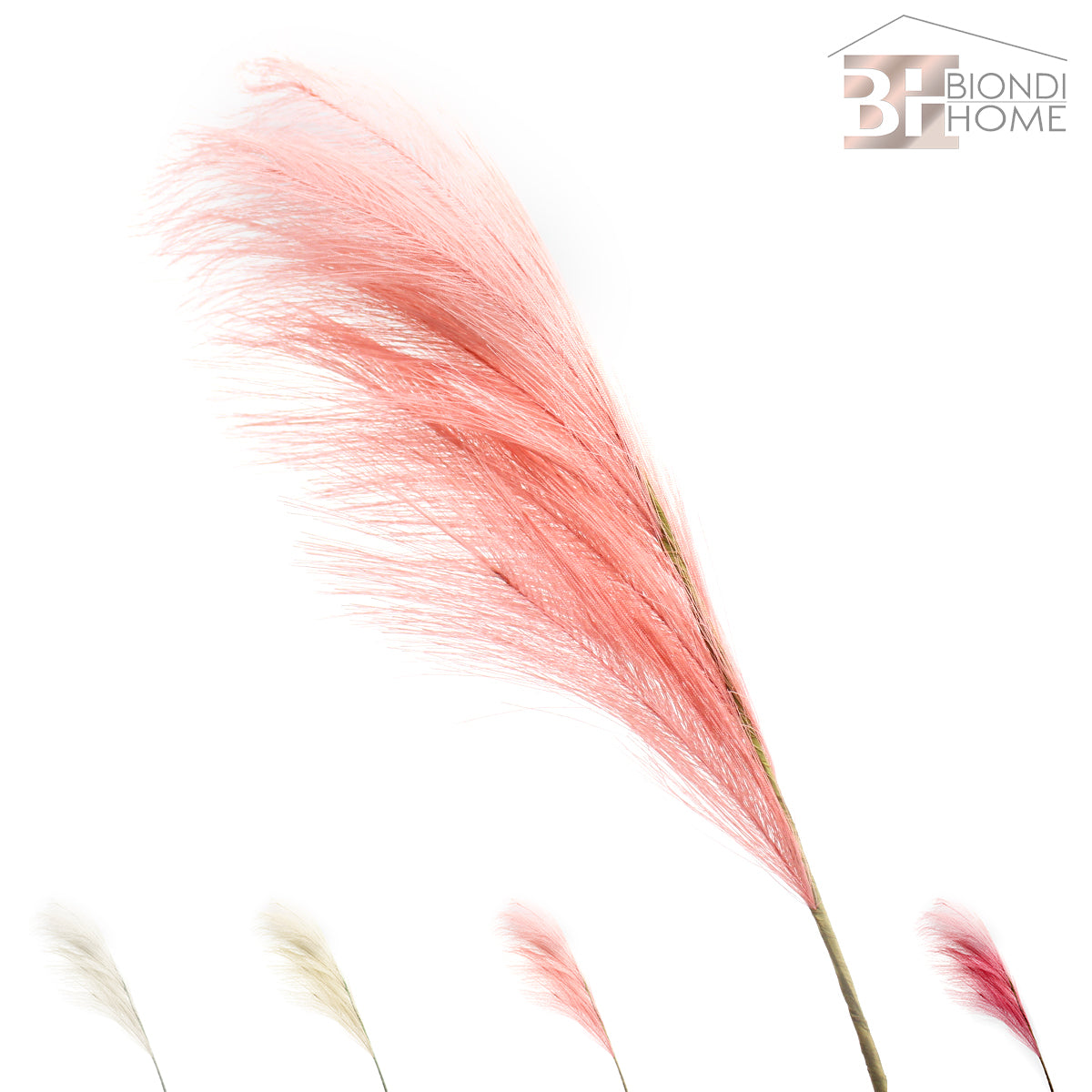 Ramo “PAMPAS” - BIONDI HOME