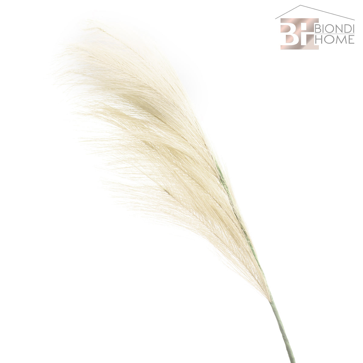 Ramo “PAMPAS” - BIONDI HOME