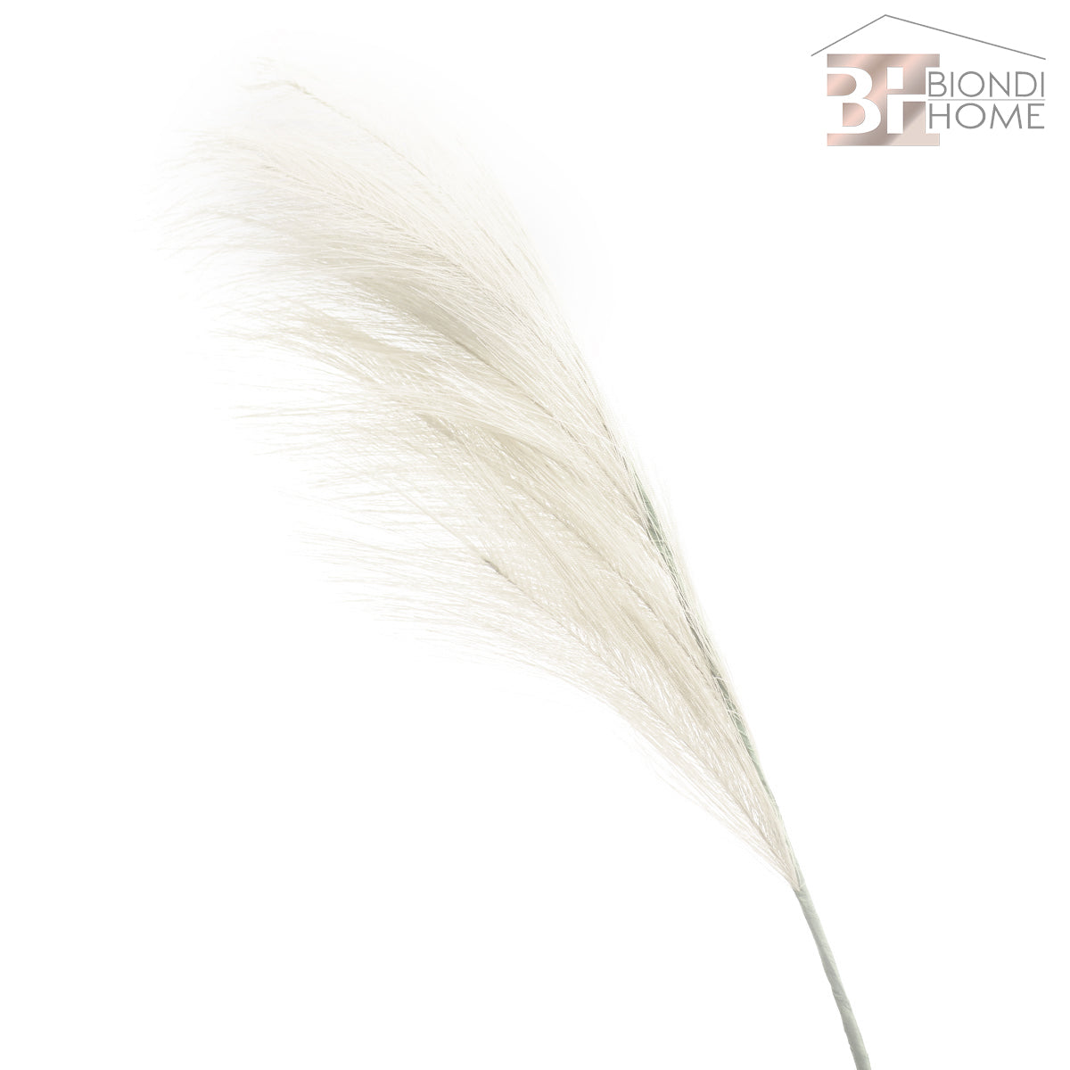 Ramo “PAMPAS” - BIONDI HOME