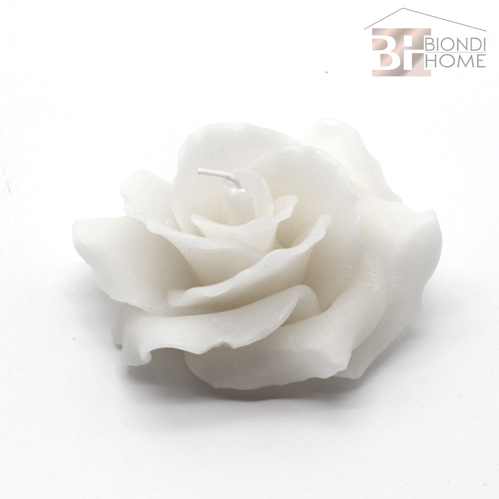 Candela “ROSA”
