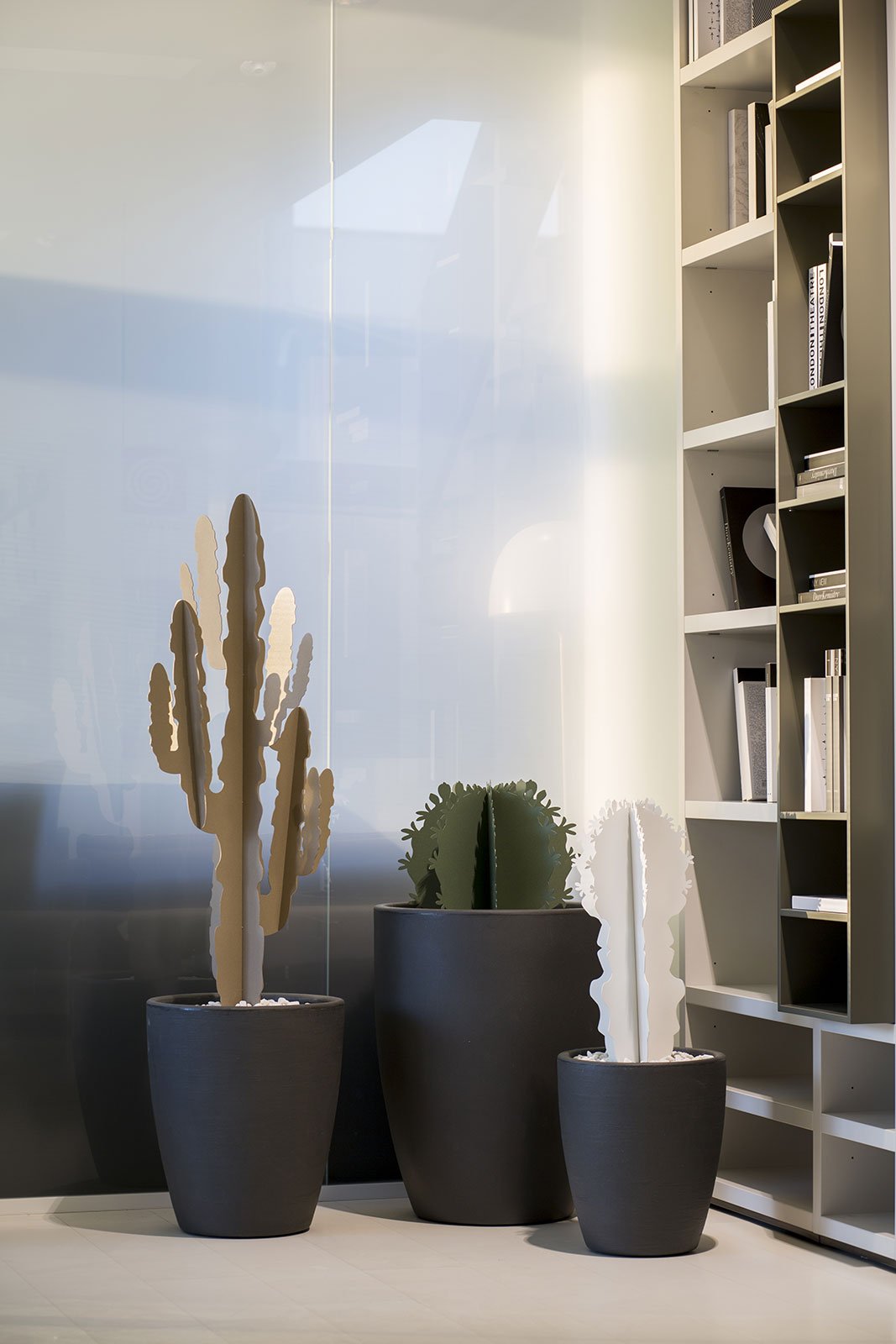 Pianta “CACTUS” - BIONDI HOME