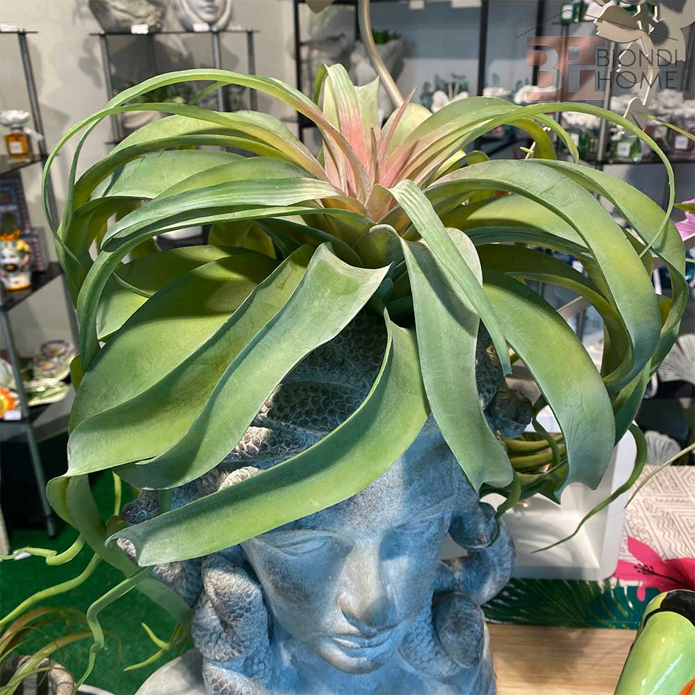 Pianta “SUCCULENT GRANDE”