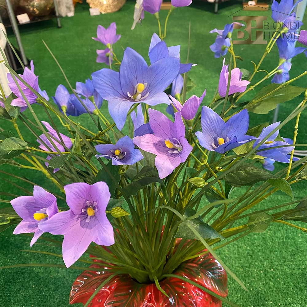 Ramo “CAMPANULA”