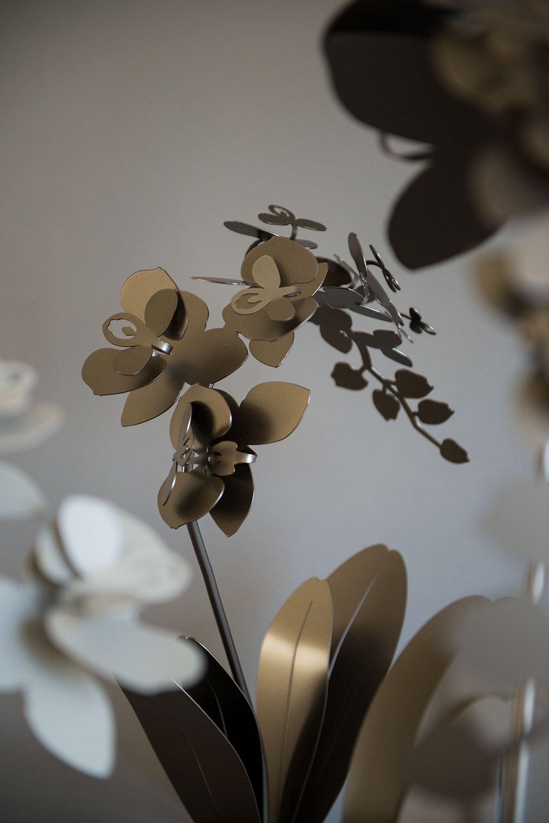 Pianta “ORCHIDEA” - BIONDI HOME
