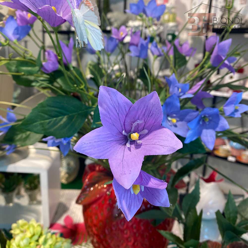Ramo “CAMPANULA”