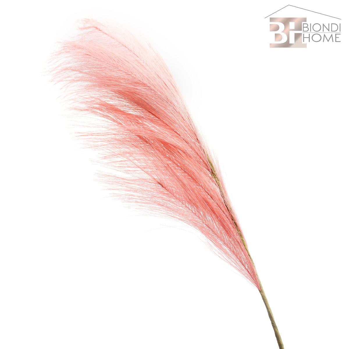 Ramo “PAMPAS” - BIONDI HOME