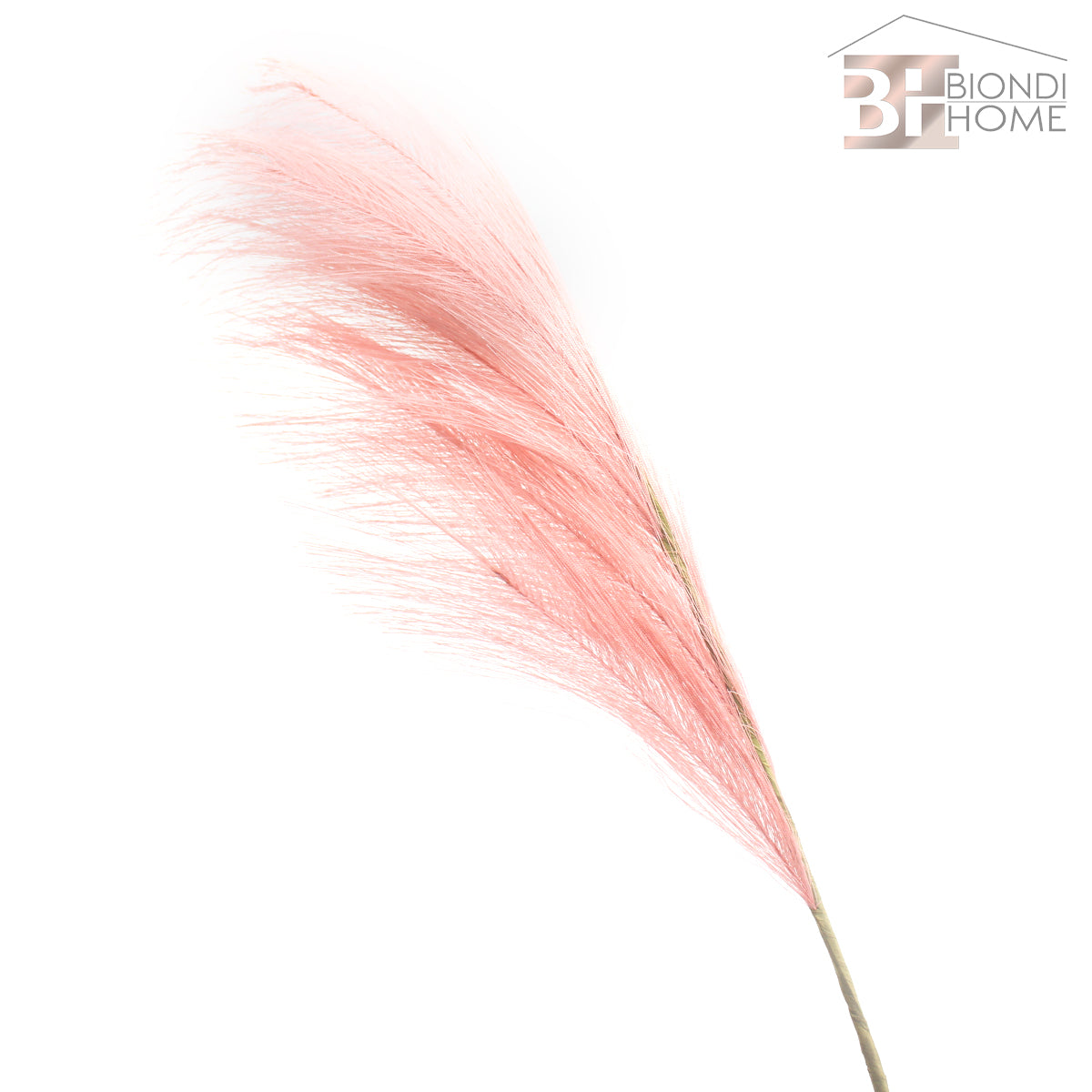 Ramo “PAMPAS” - BIONDI HOME