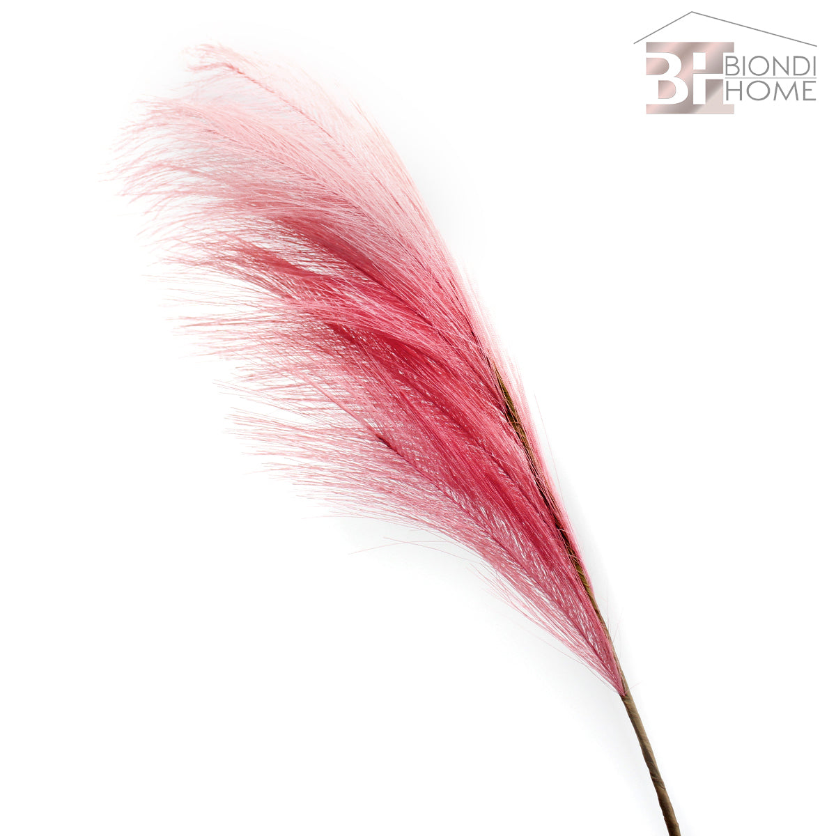 Ramo “PAMPAS” - BIONDI HOME