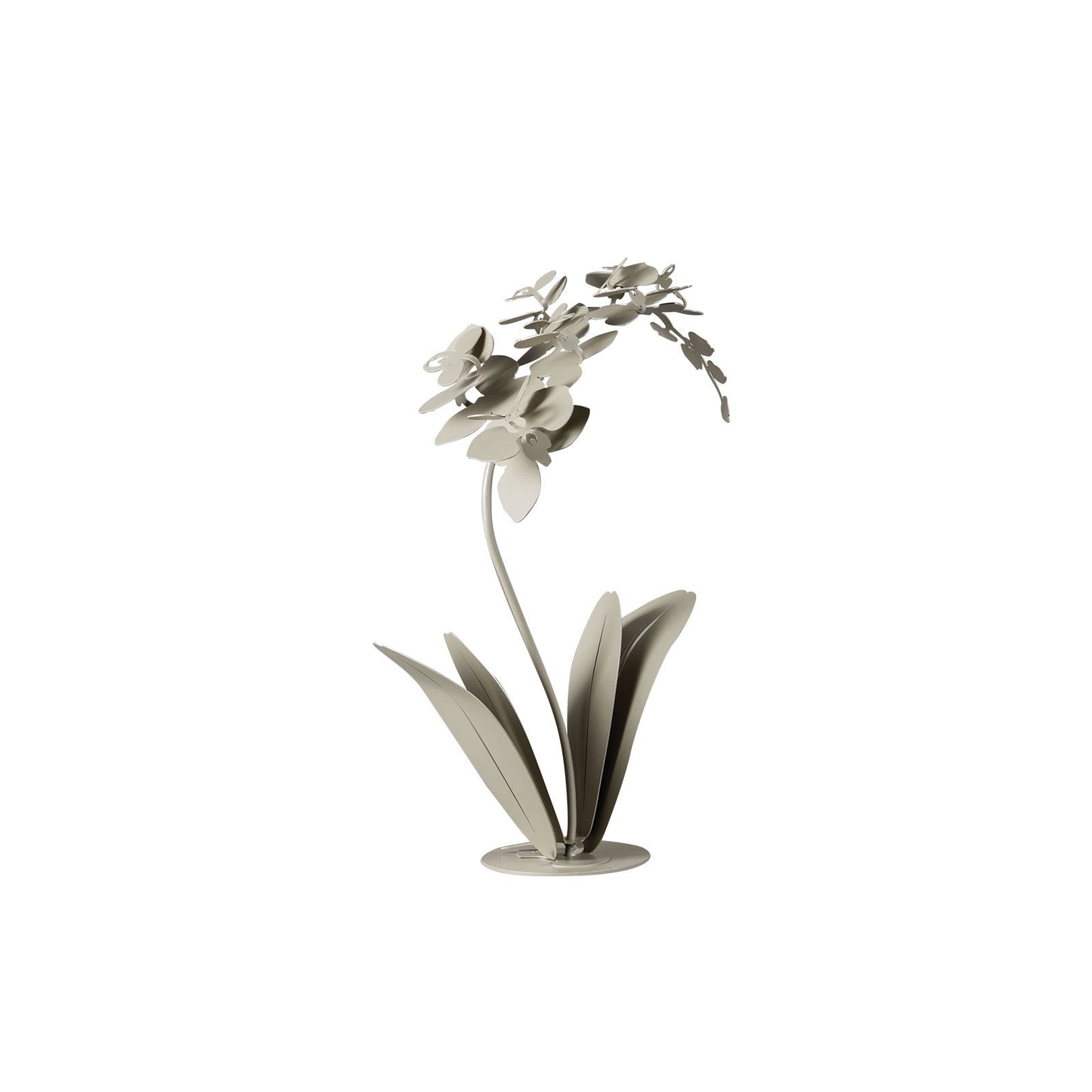 Pianta “ORCHIDEA” - BIONDI HOME