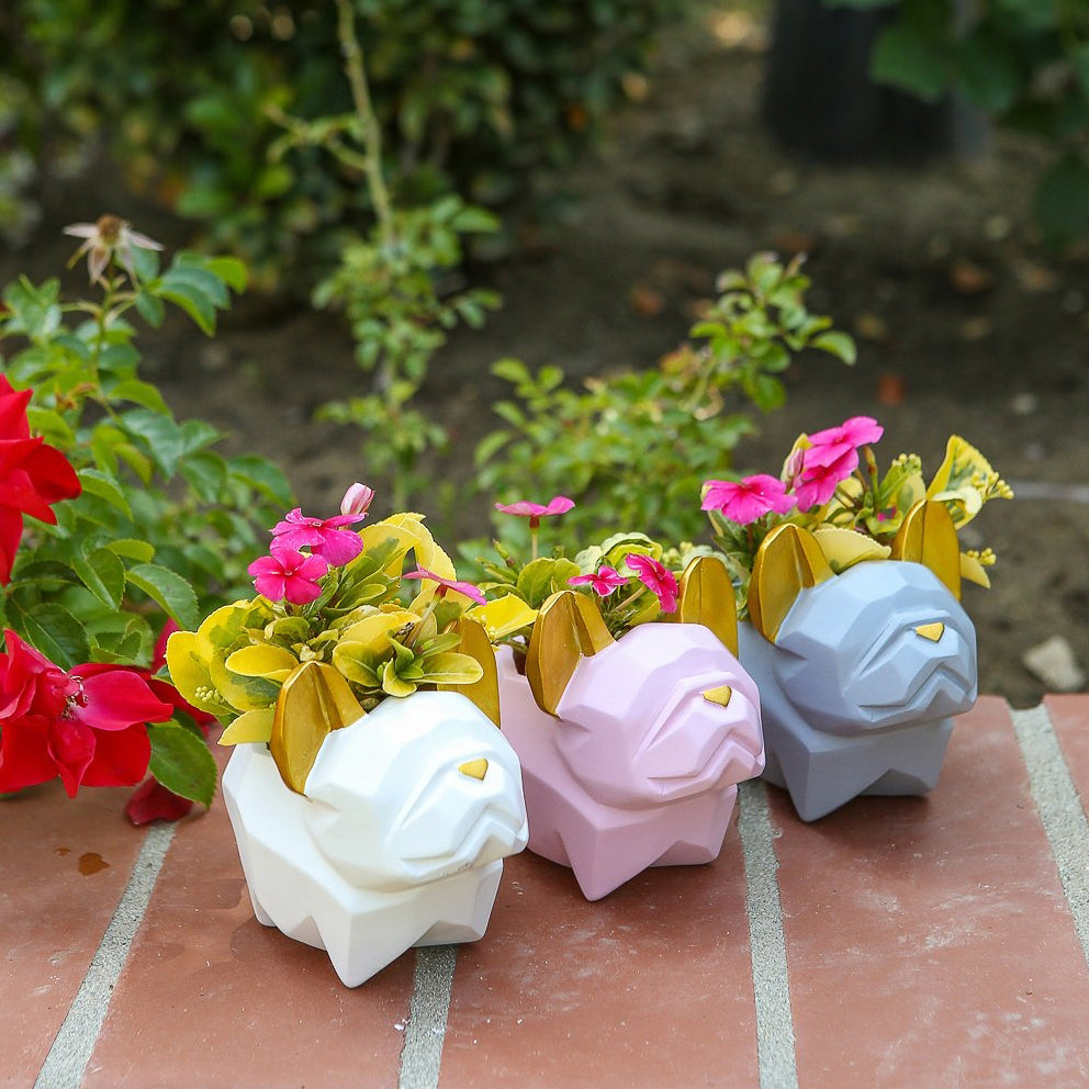 Vasetto “BULLDOG" - BIONDI HOME