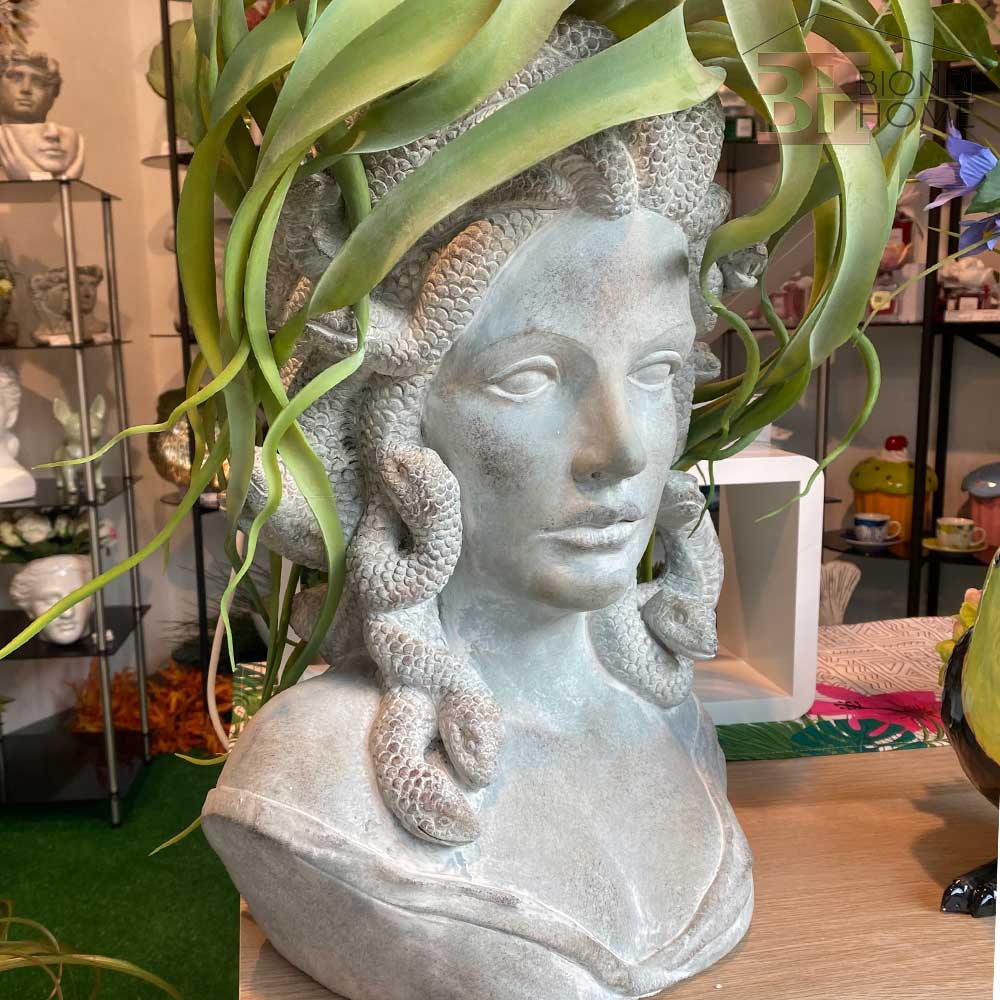 Vaso “MEDUSA"