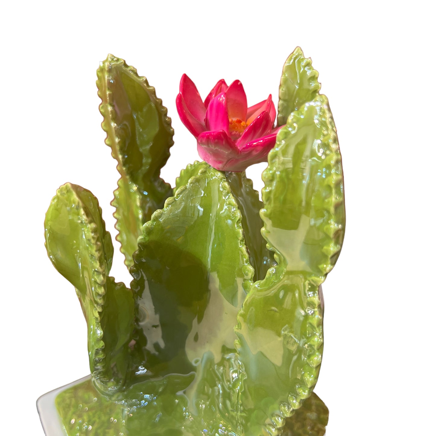 Barattolo “CACTUS"