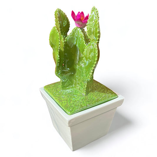 Barattolo “CACTUS"
