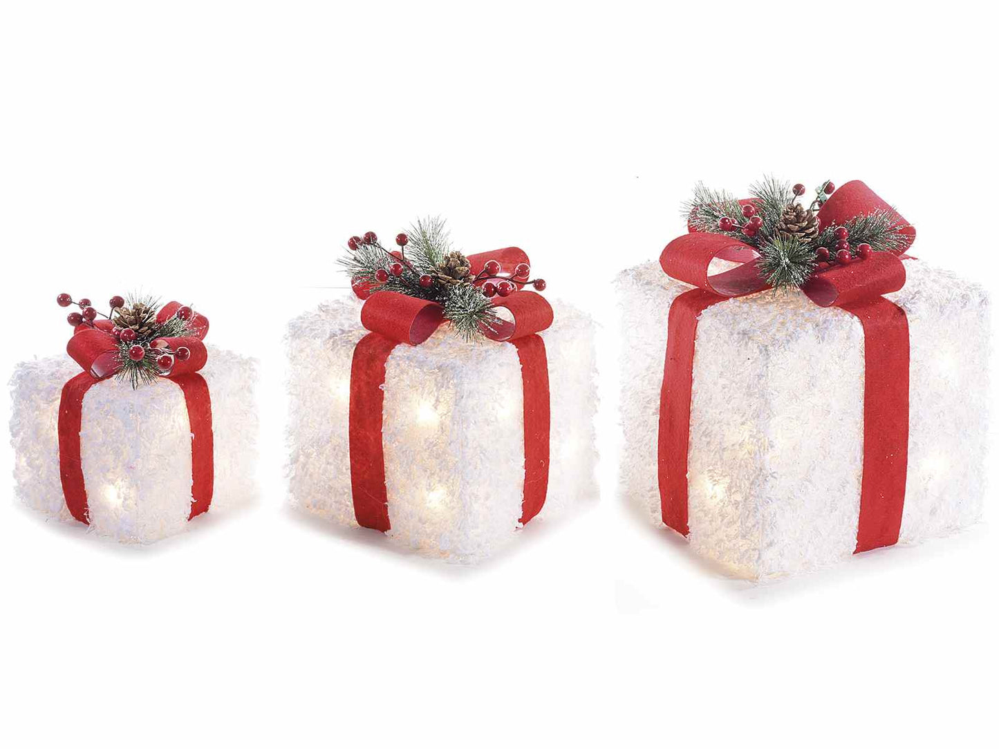 “PACCO REGALO”