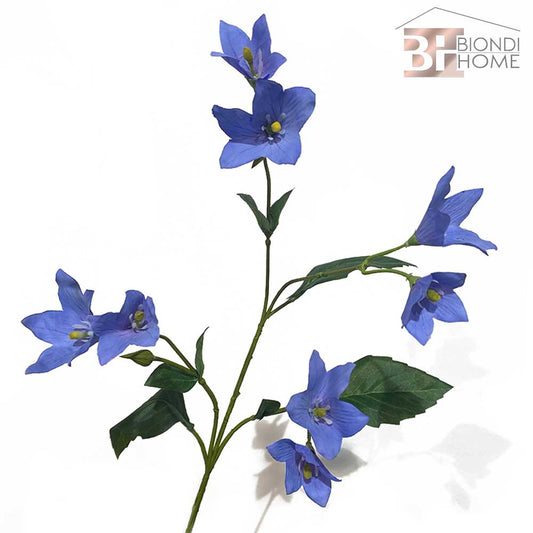 Ramo “CAMPANULA”