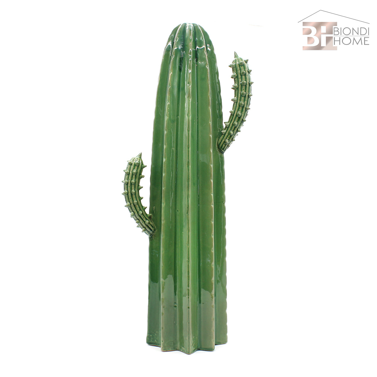 “BIG CACTUS” - BIONDI HOME