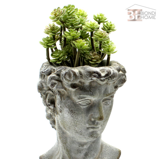 Pianta “SUCCULENT” - BIONDI HOME