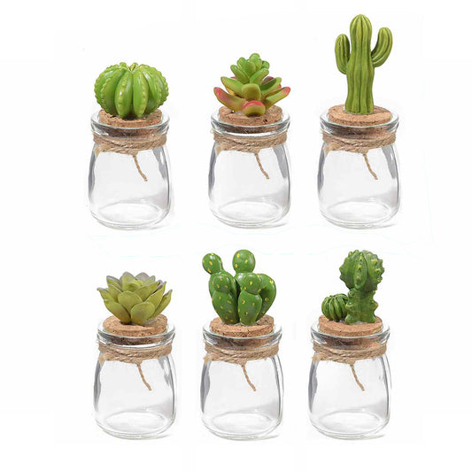 Portaspezie “CACTUS” (6pz) - BIONDI HOME