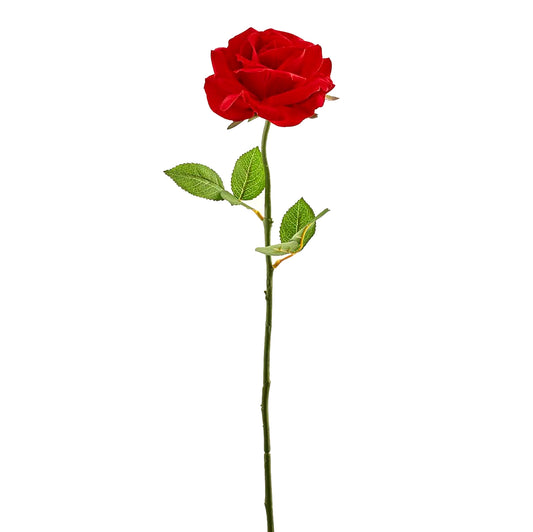 "ROSA VELLUTO"