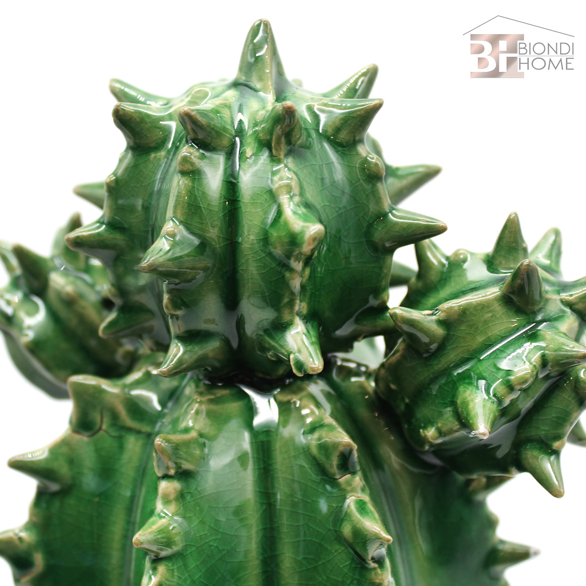 “CACTUS SPINOSO” - BIONDI HOME