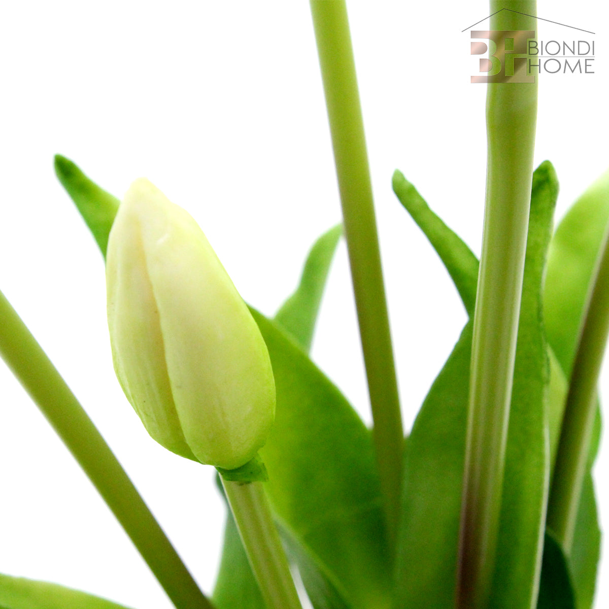 Mazzo “TULIPANI” - BIONDI HOME