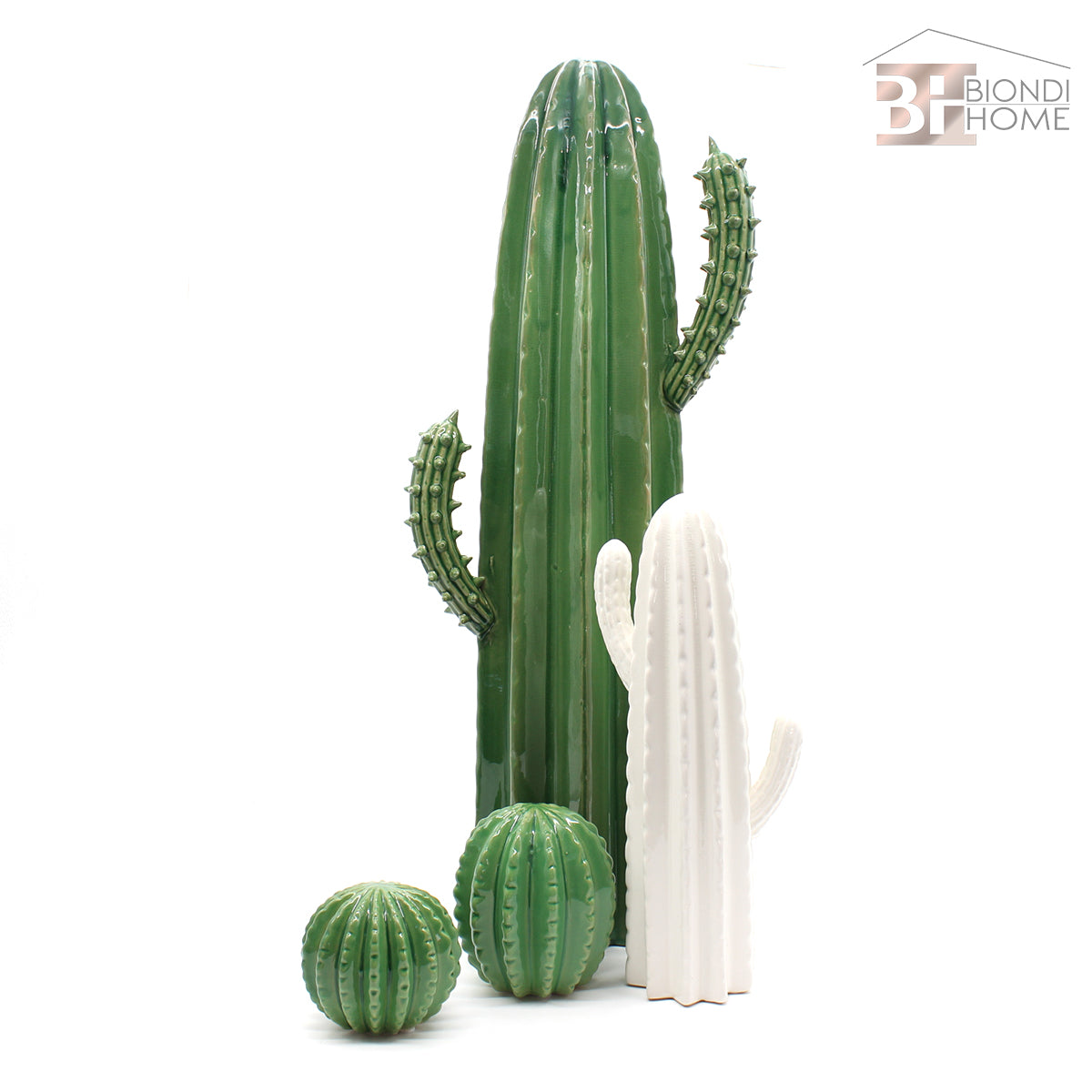 “BIG CACTUS” - BIONDI HOME