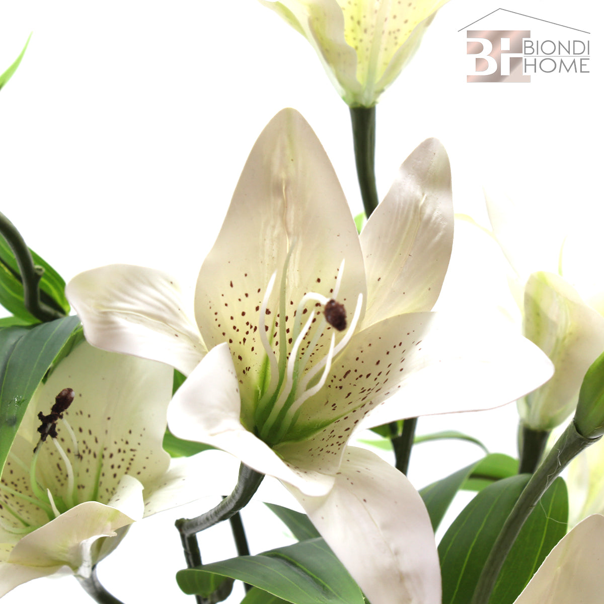 Ramo “LILIUM” - BIONDI HOME