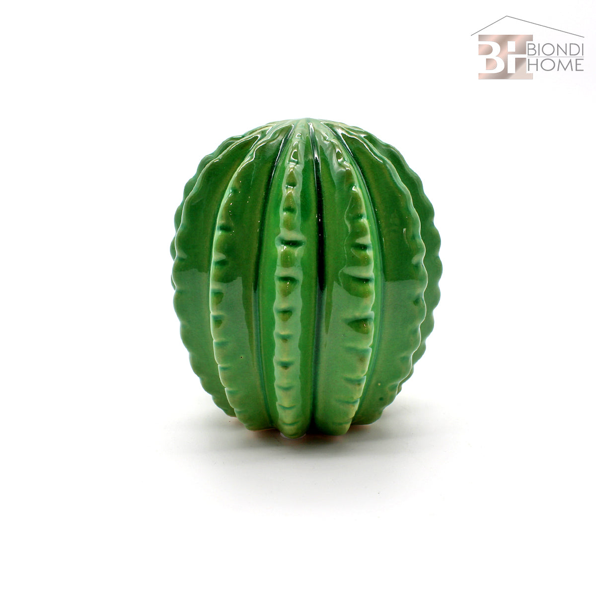 “CACTUS” - BIONDI HOME