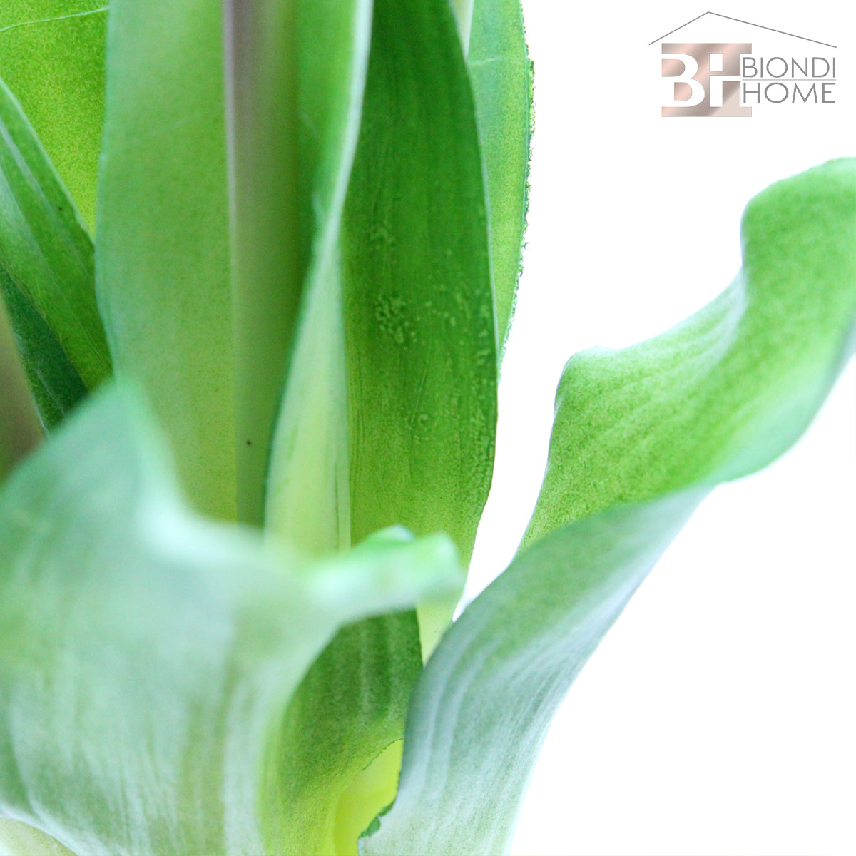 Mazzo “TULIPANI” - BIONDI HOME
