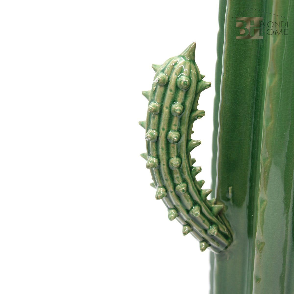 “BIG CACTUS” - BIONDI HOME