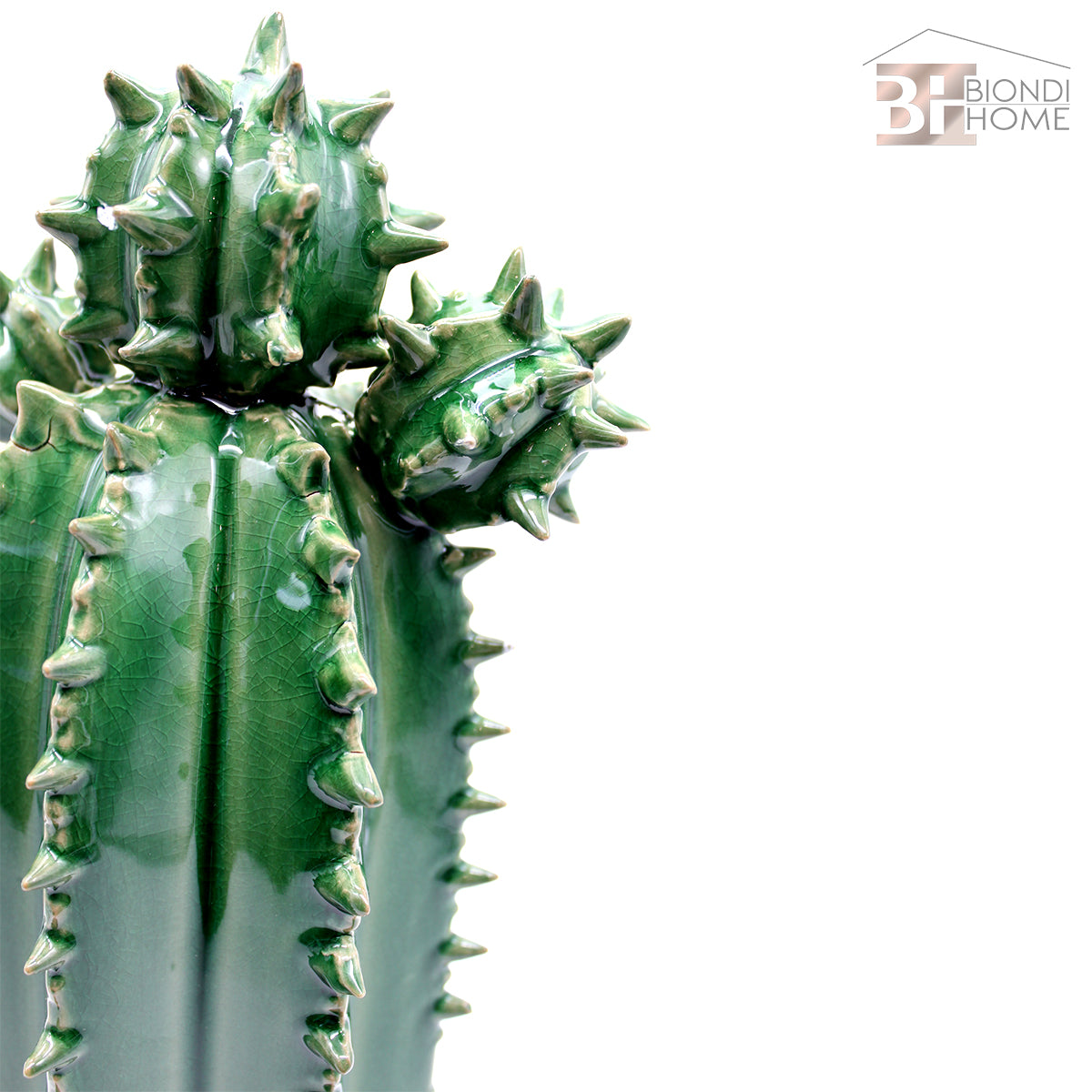 “CACTUS SPINOSO” - BIONDI HOME